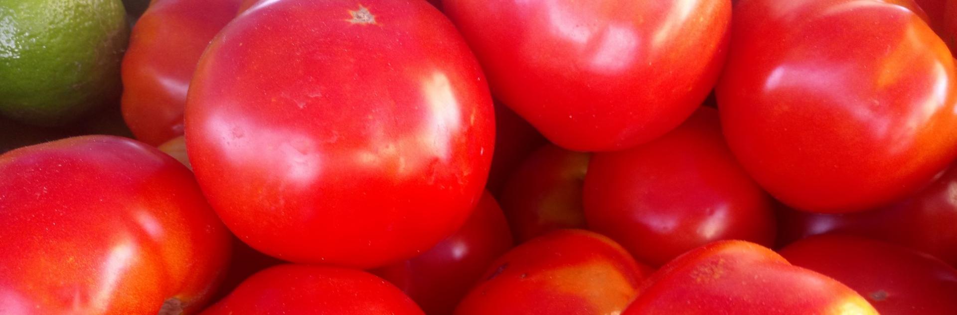 Tomates