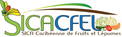 sicacfel